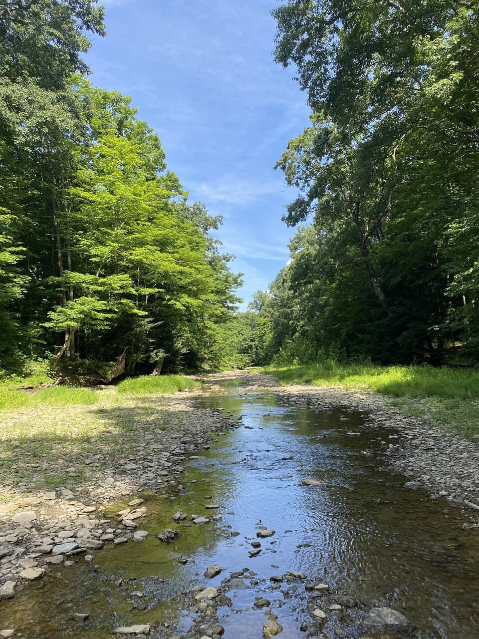 Bluebell Valley Trail