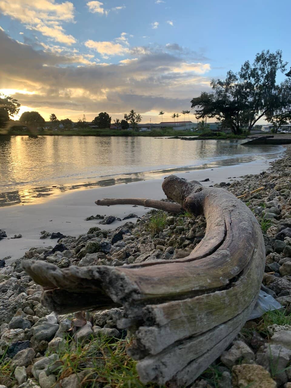 Sea Turtle Encounters