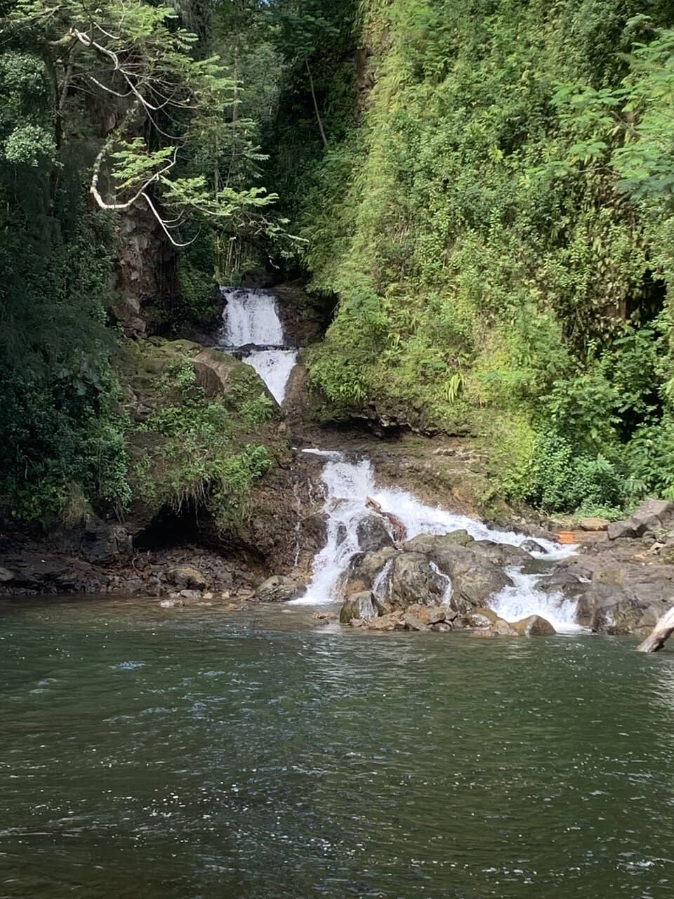 Sea Turtle Sightings