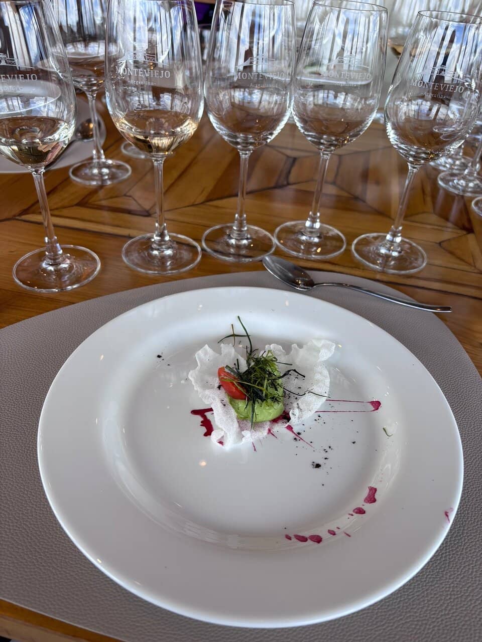 Andes Mountain Views