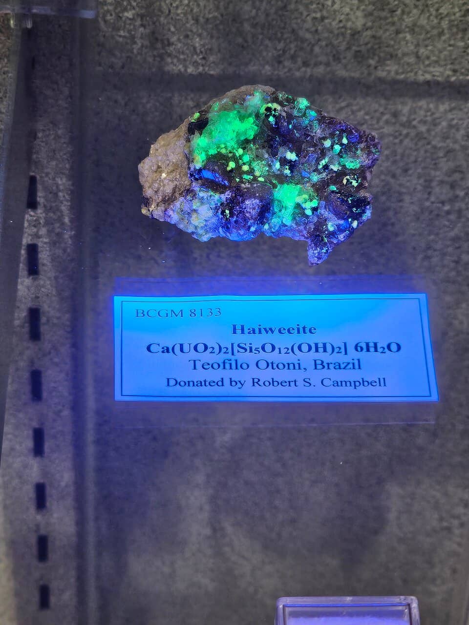 Interactive Scavenger Hunt