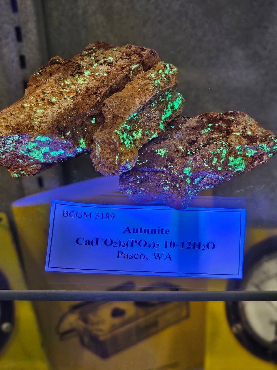 Fossil and Mineral Collection