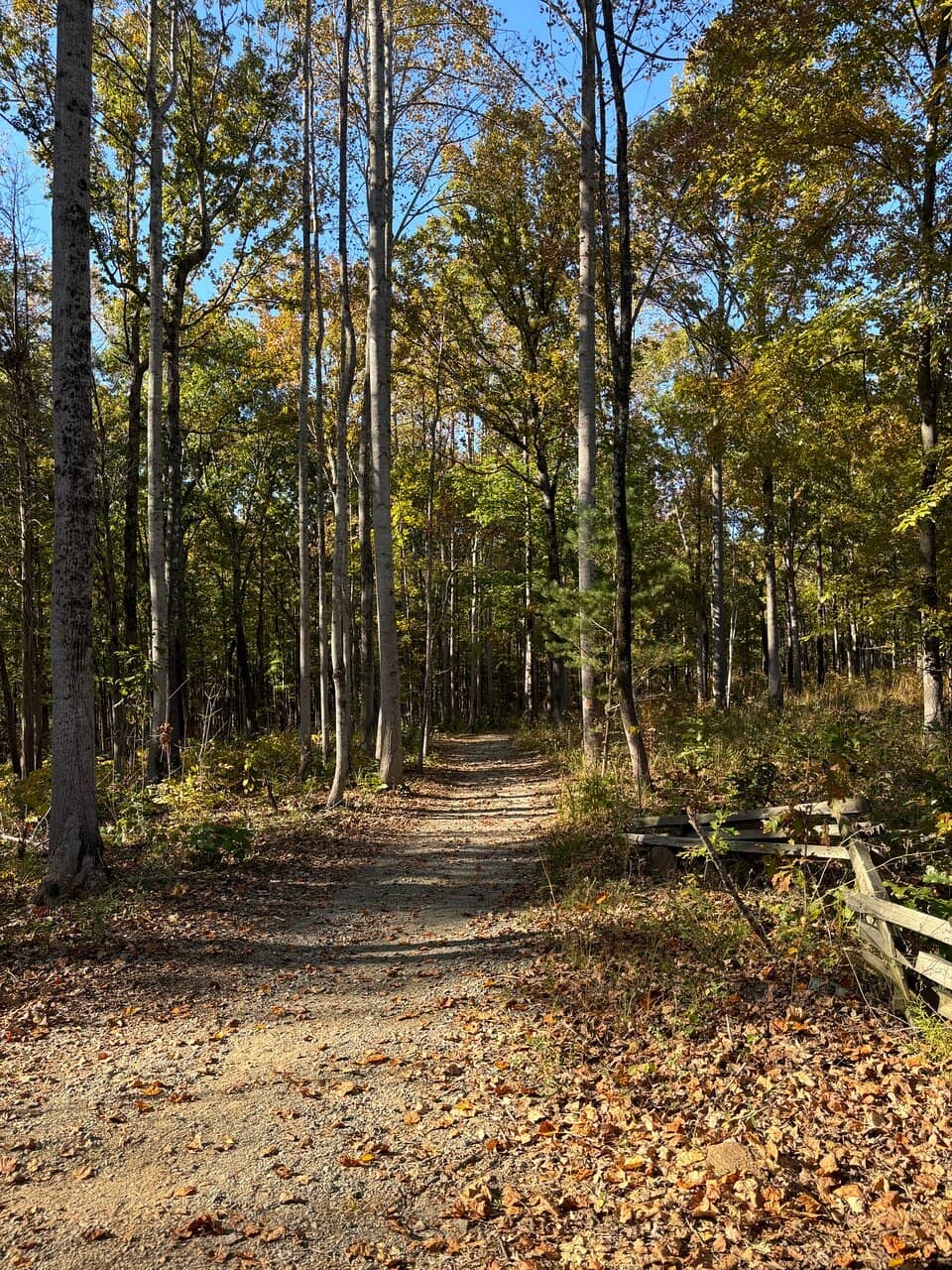 Quest Nature Center Aquarium