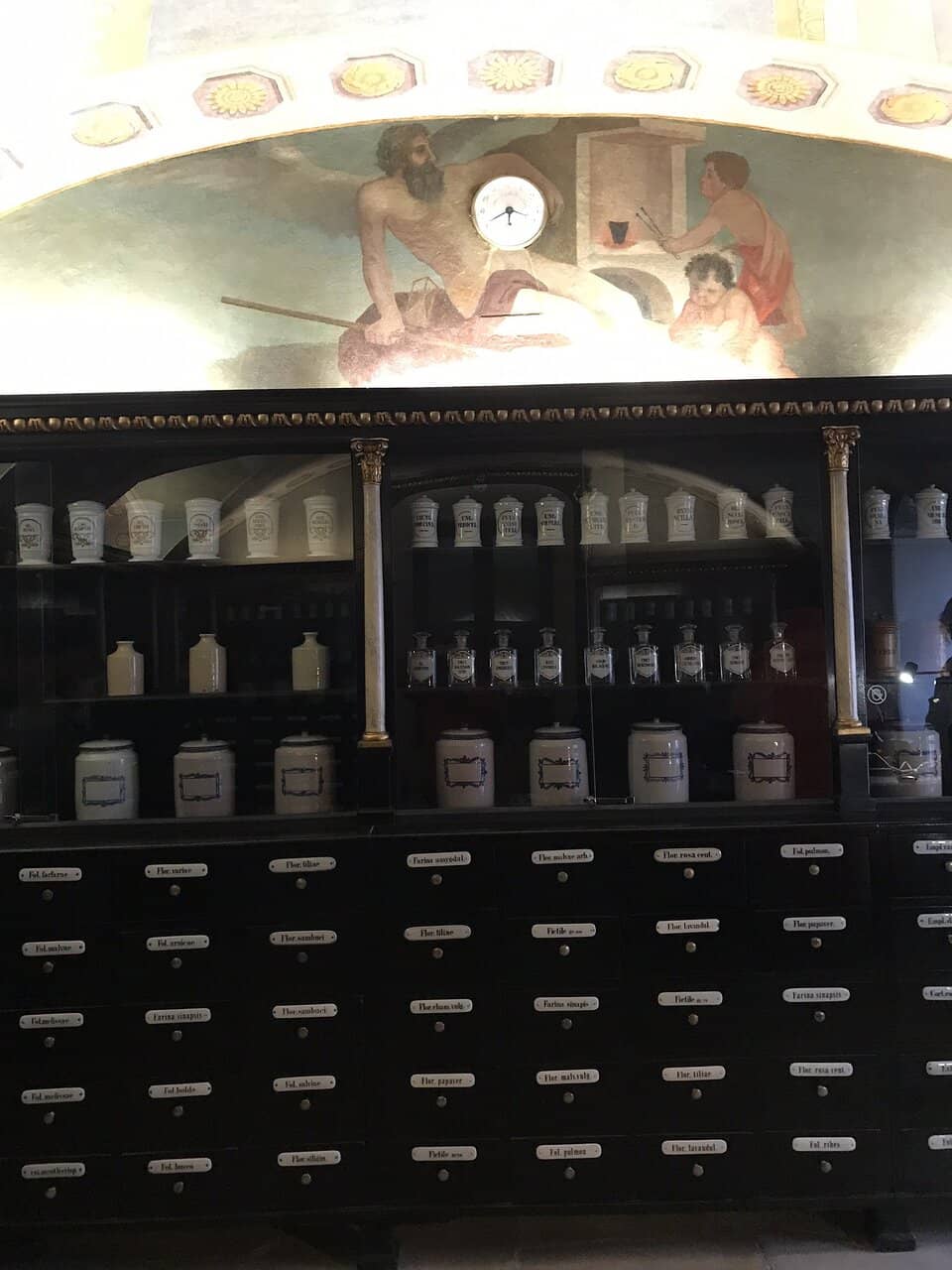 Bratislava's 15th Century Transformation