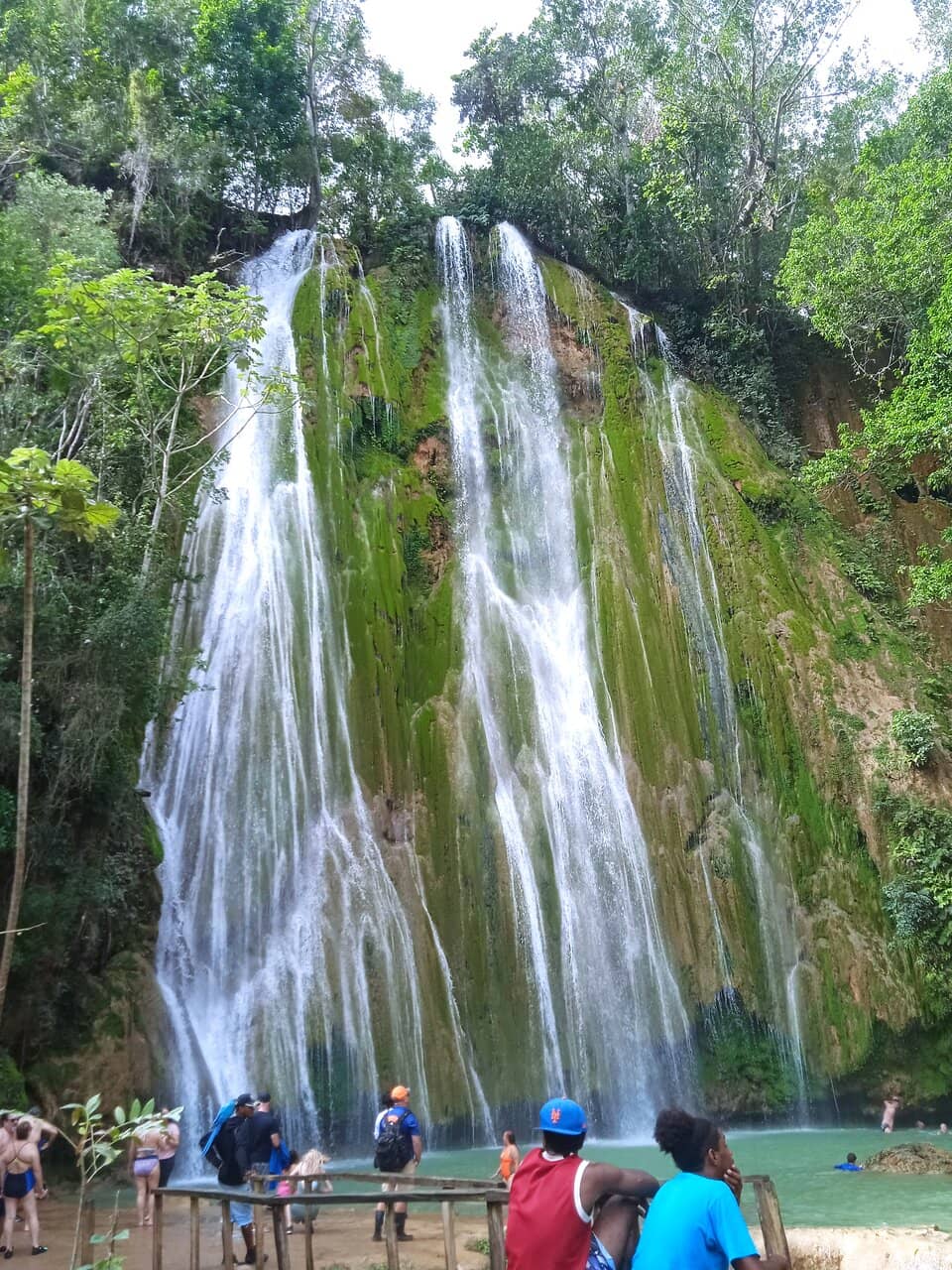 Jungle Horseback Ride