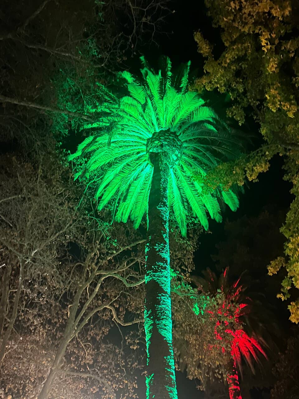 The Gazebo & Green Space