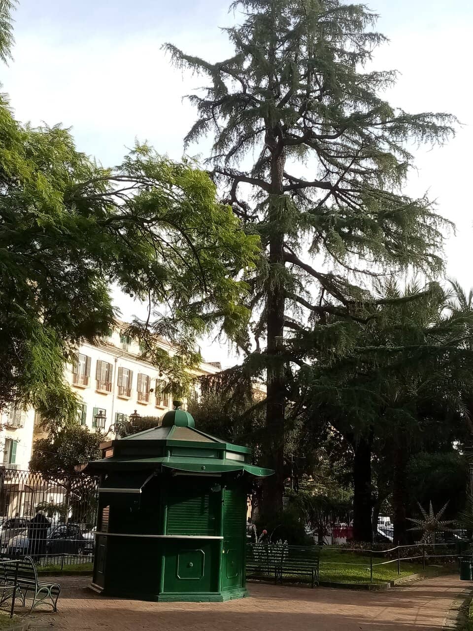 Vertical photo