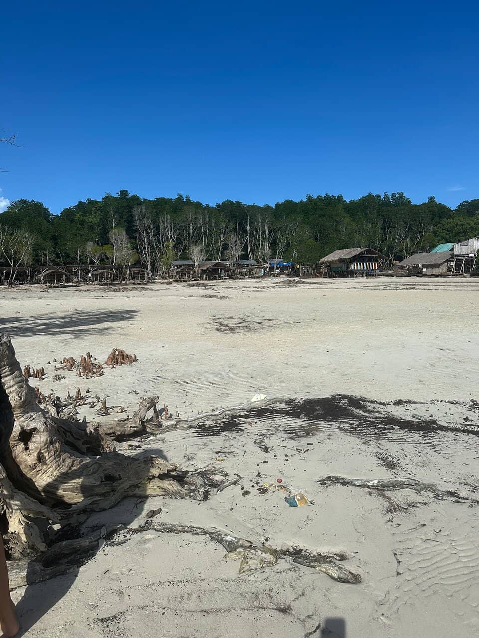 Potential for High Tide Enjoyment