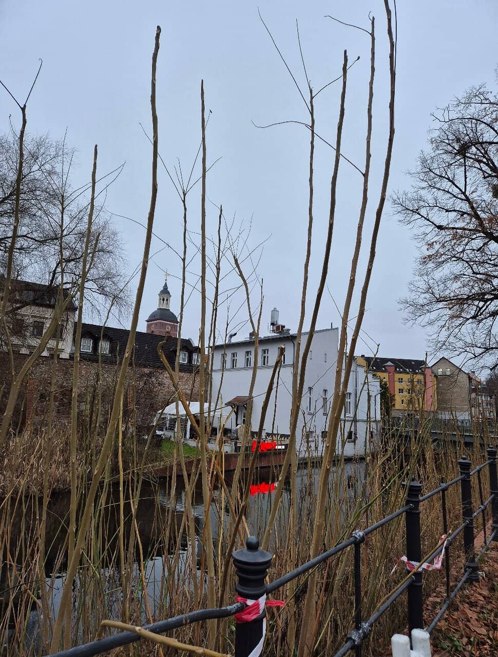 Gulaschkanone (Food Stall)