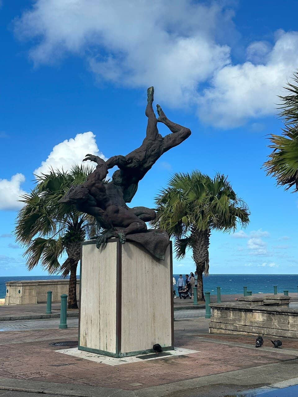 Vertical photo