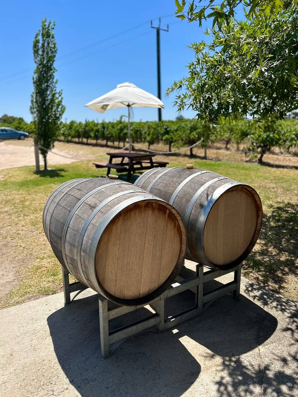 Generous Cheese & Oyster Platters