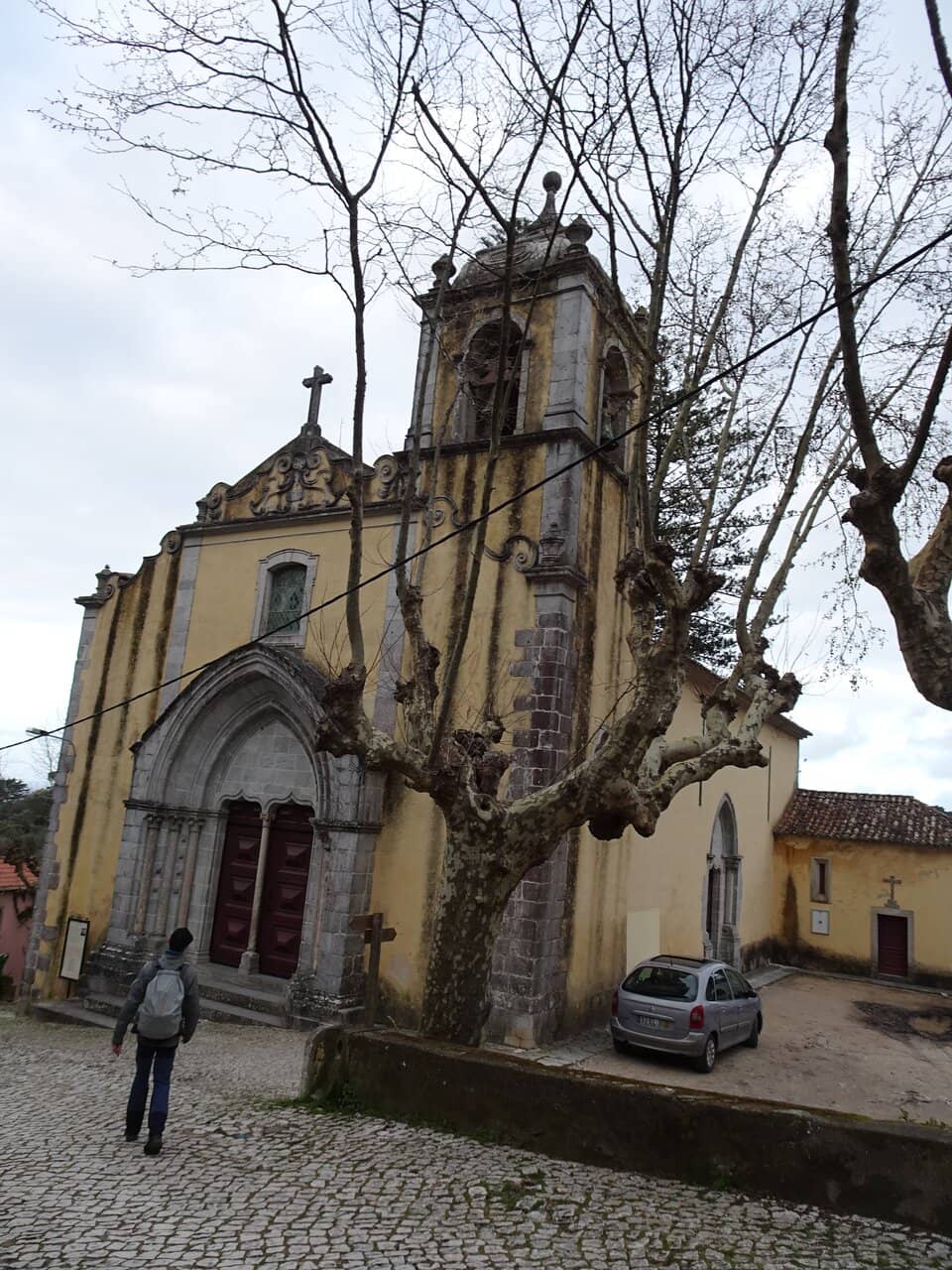 Remains of Blessed Carlo Acutis