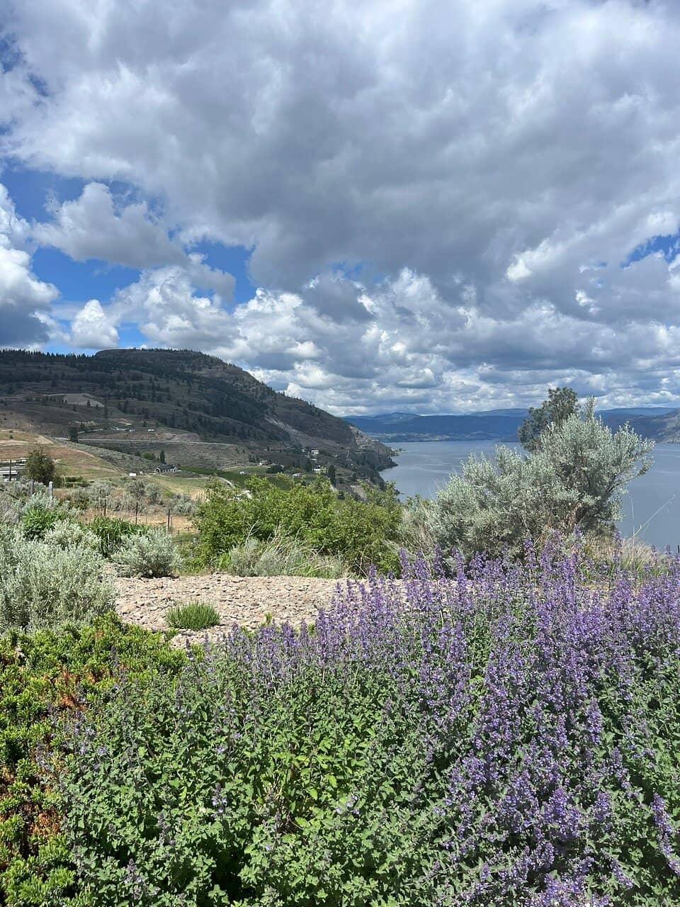 Organic Wine Tasting