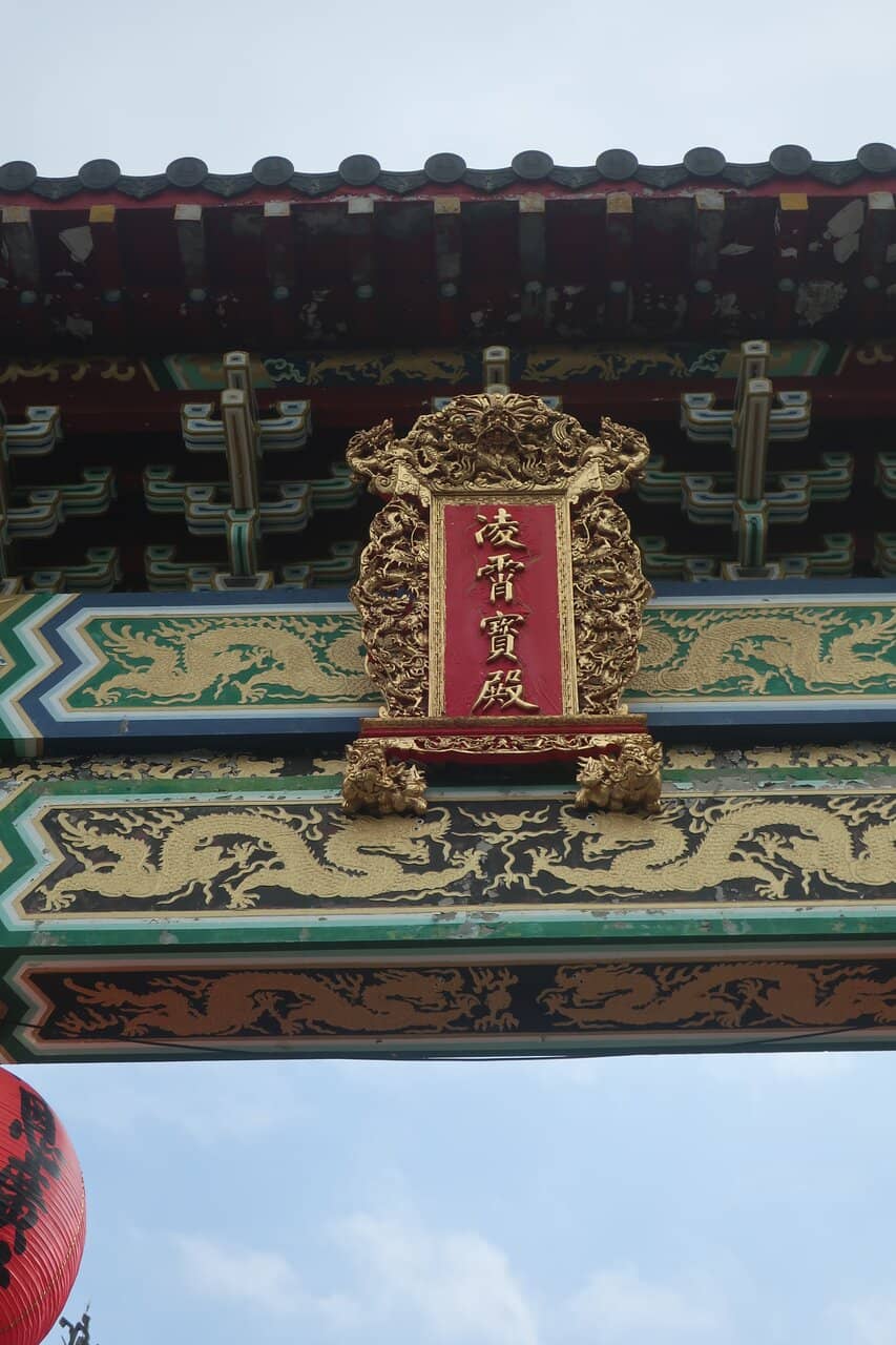 Resident Temple Cats