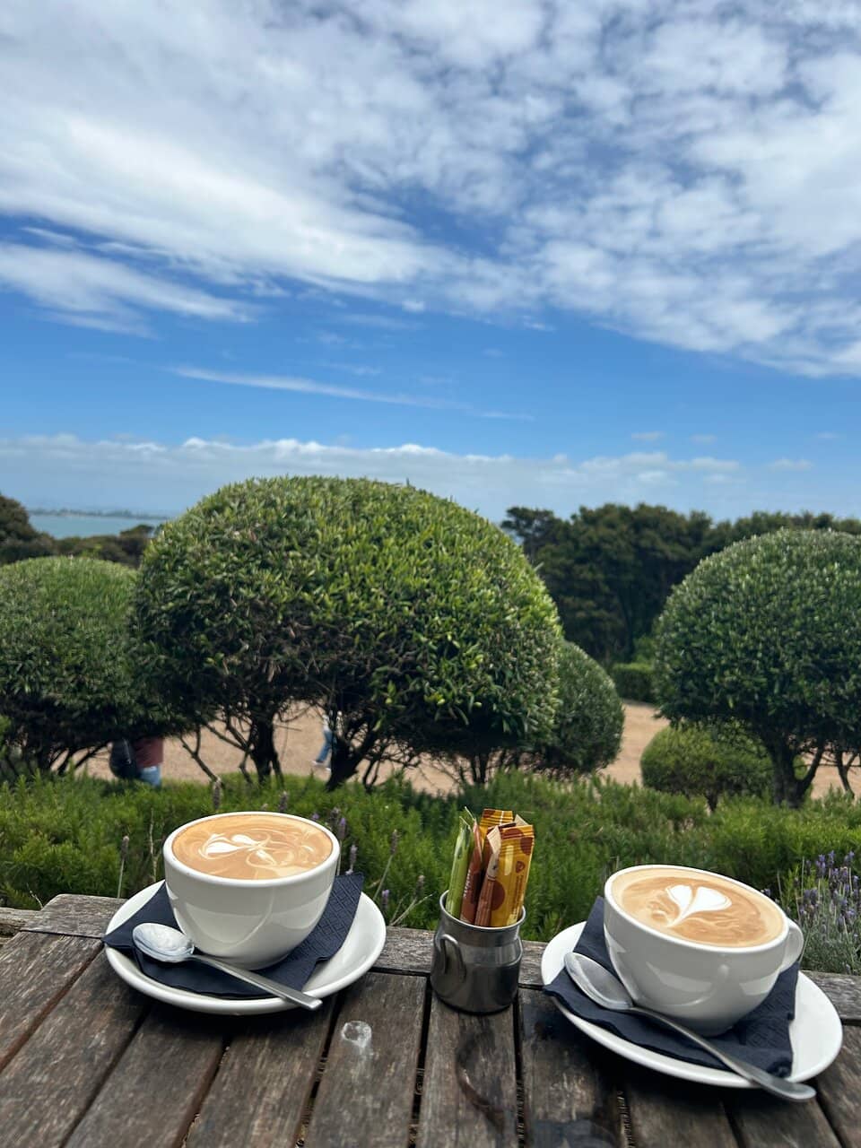 Sweeping Vineyard Views