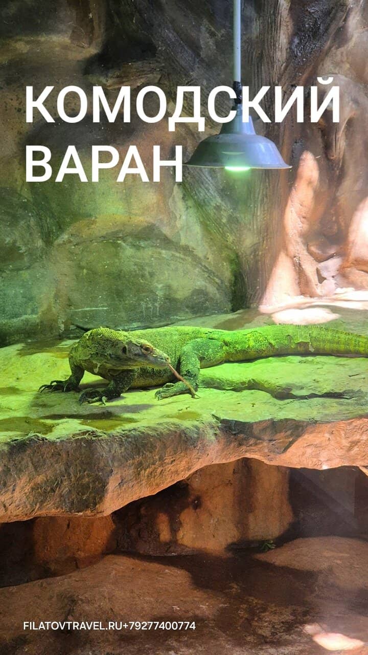 Farm Animals & Birds