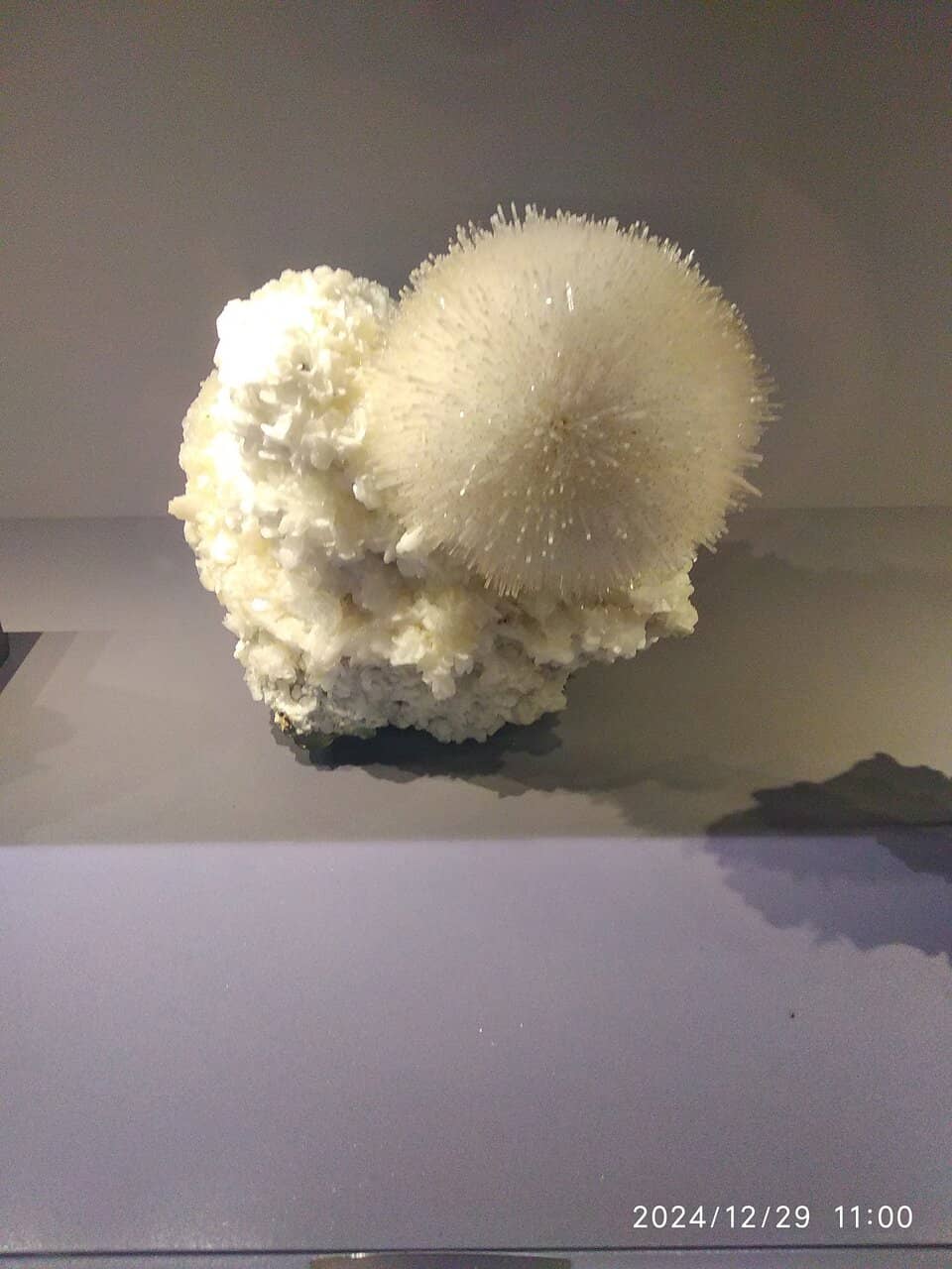 Meteorite Collection