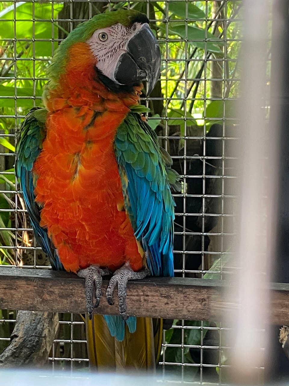 Buyongjeong Pavilion