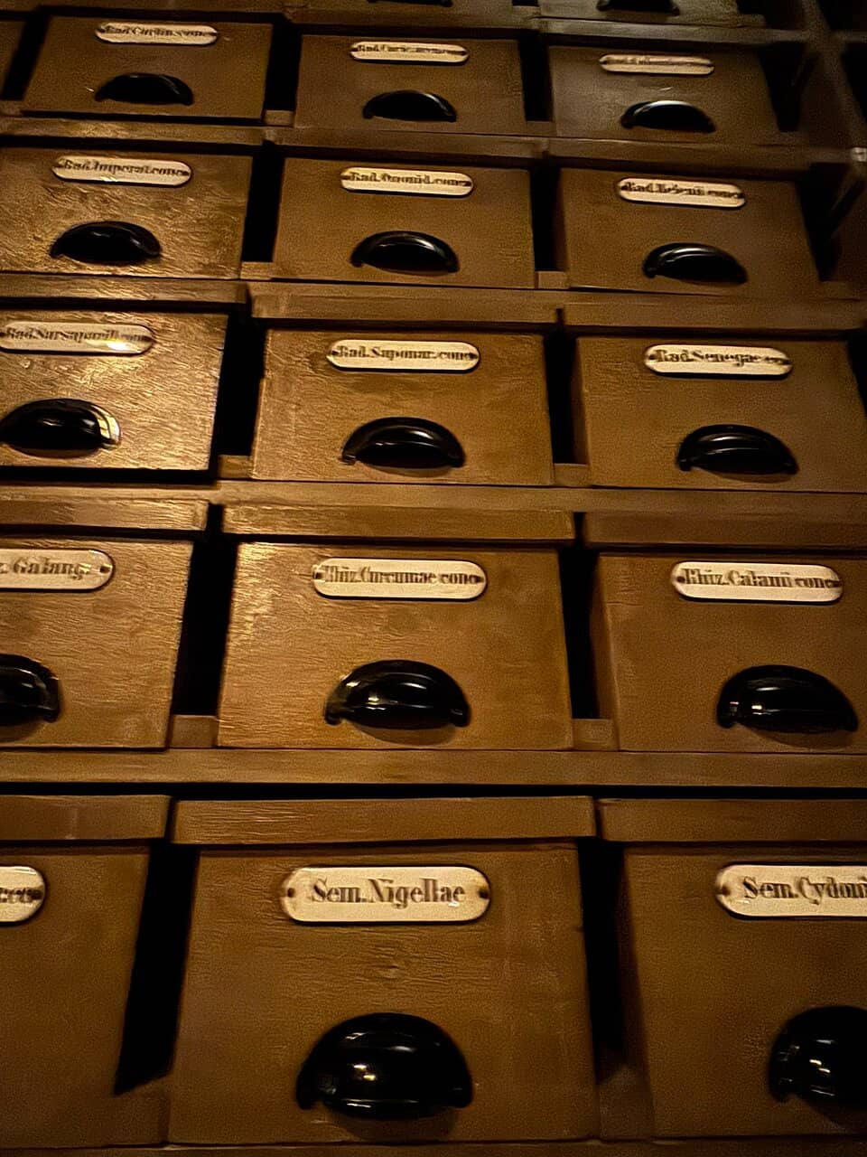 Seasonal European Set Menus