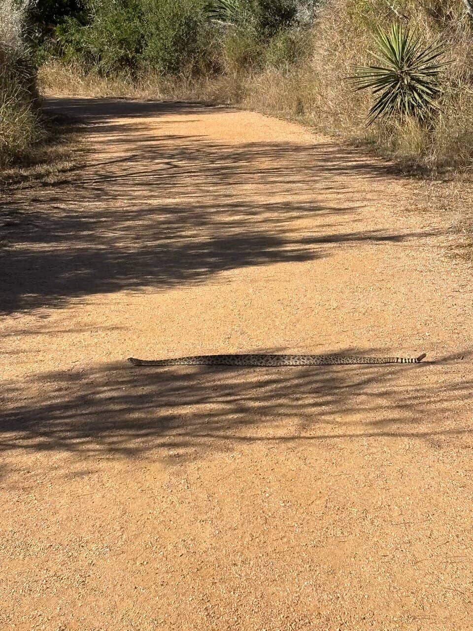 Birdwatching Paradise