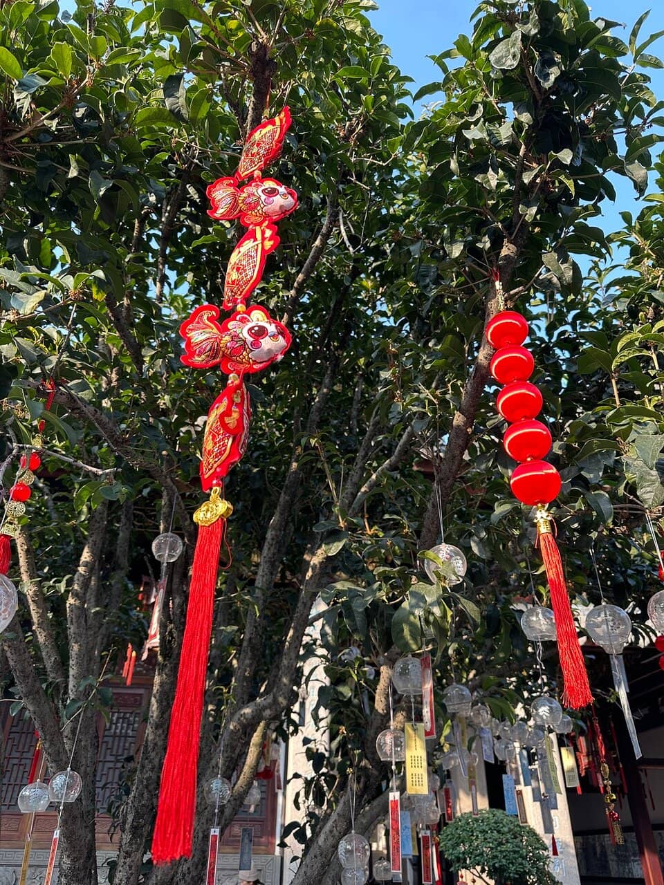 Mini Great Wall Section