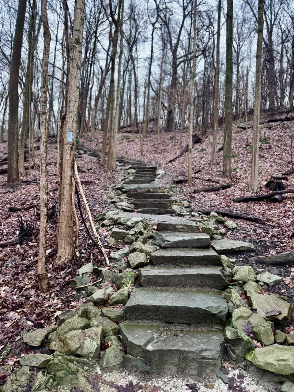 Scenic Woodland Trail