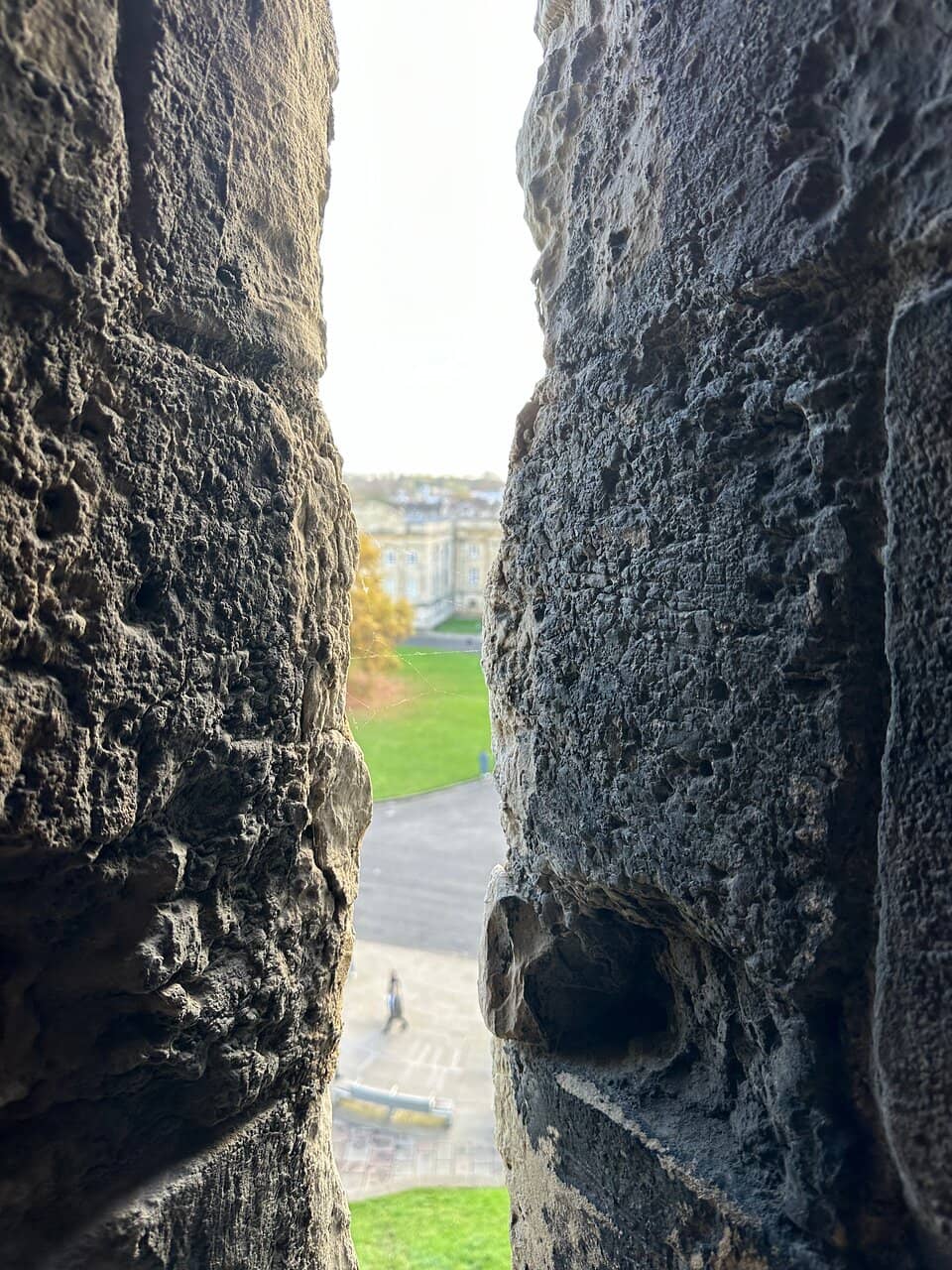 Vertical photo