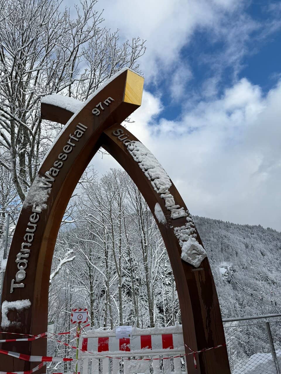 Panoramic Forest Vistas