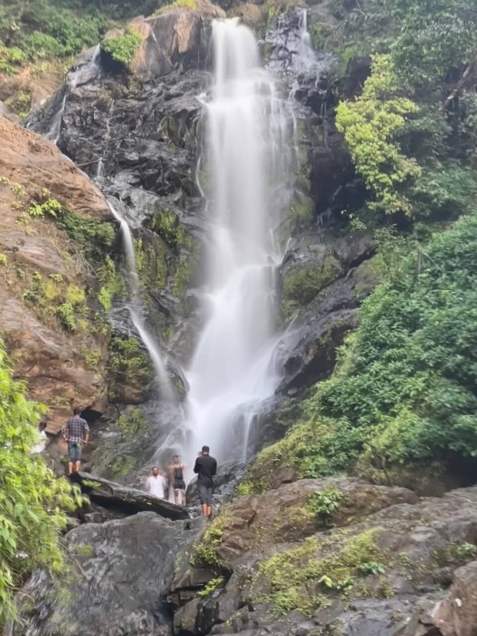 Jungle Trail Adventure