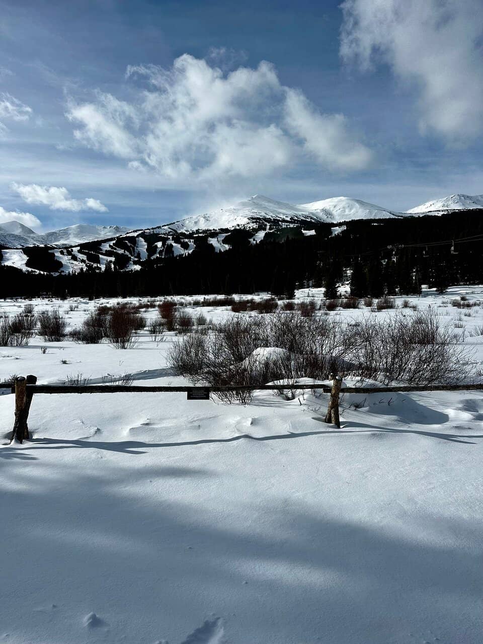 Snowshoeing Adventures