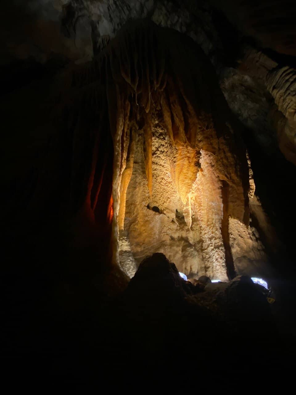 Informative Guided Tours