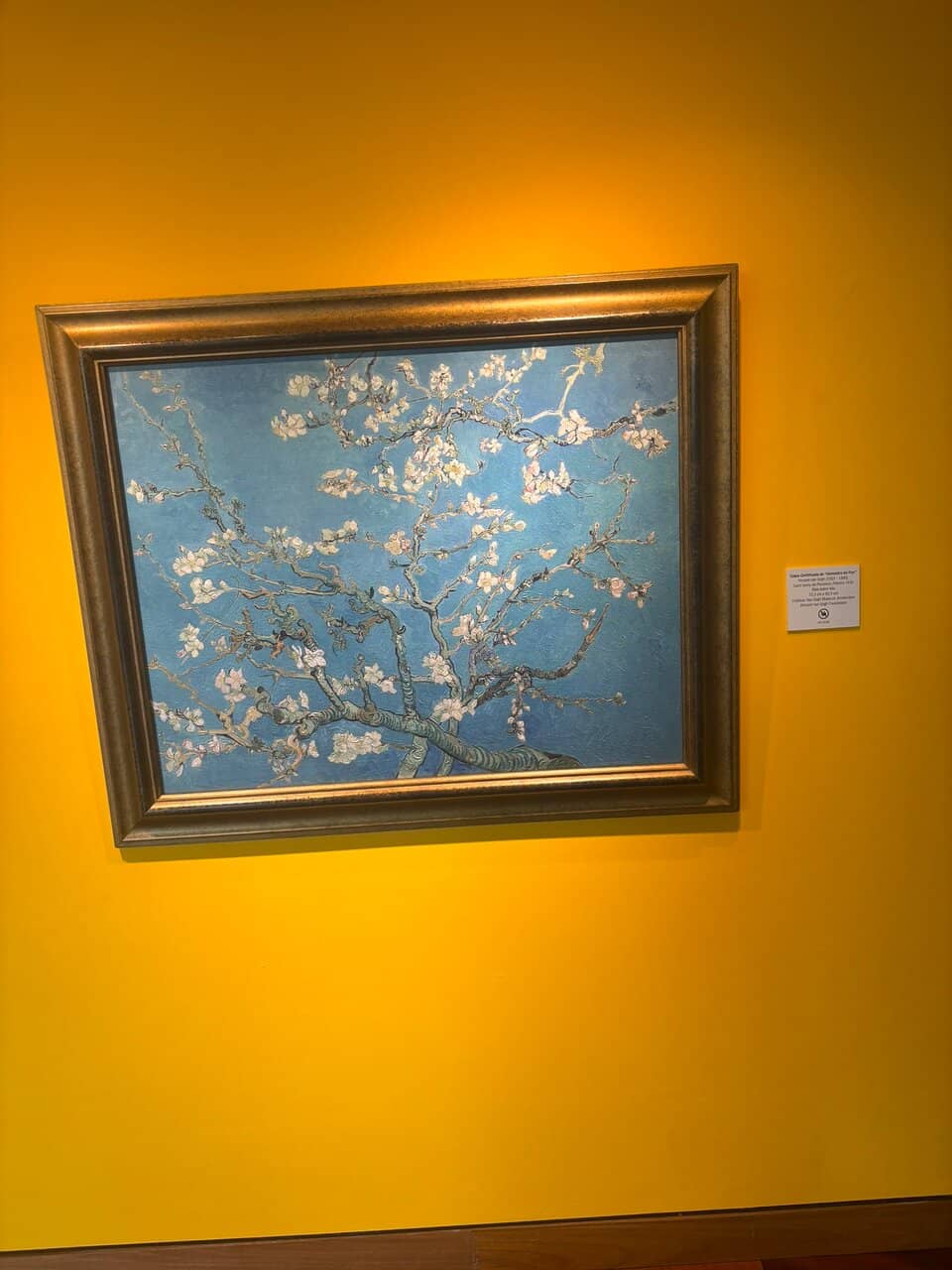 Unique Immersive Experiences