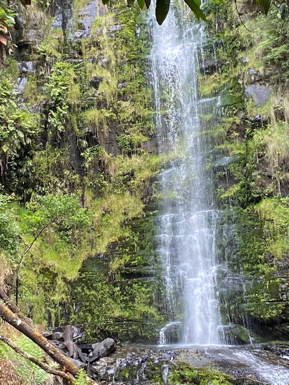 Upper Viewing Platform
