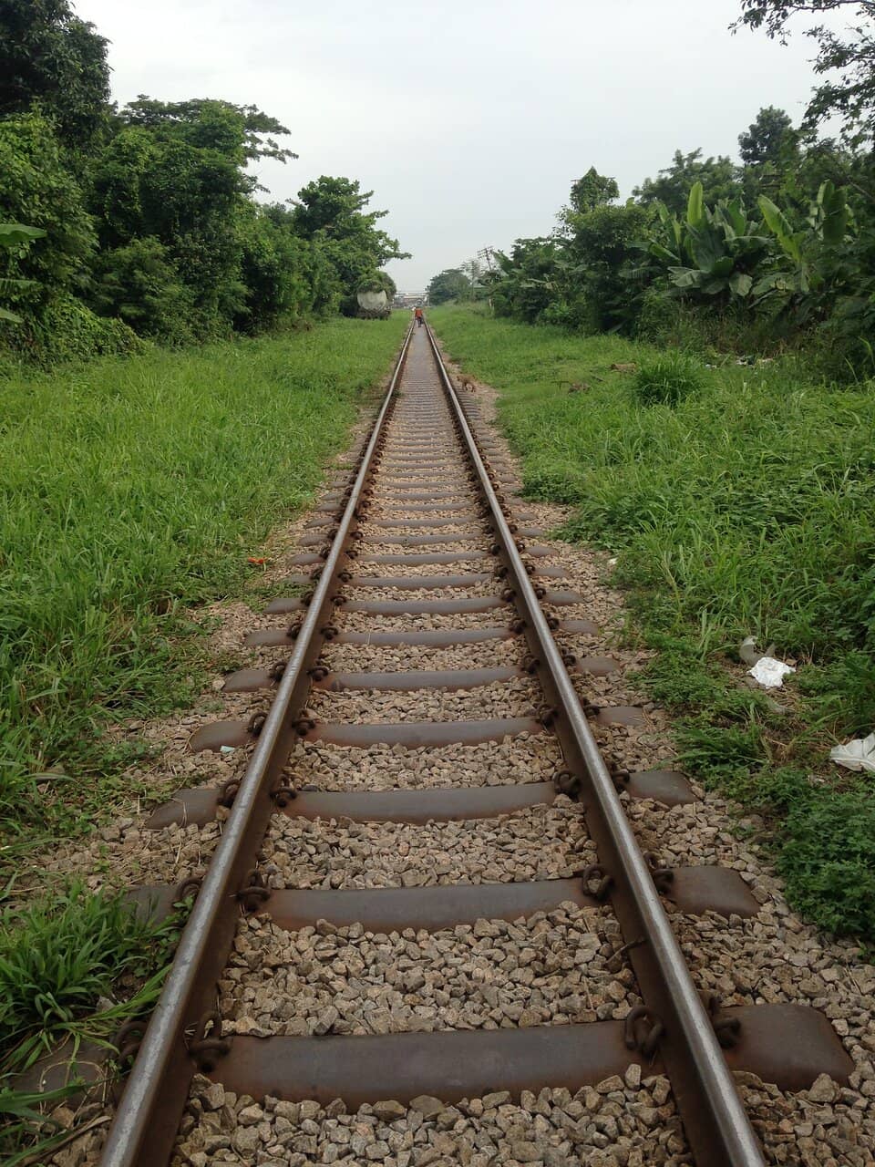 Serene Picnic Gardens