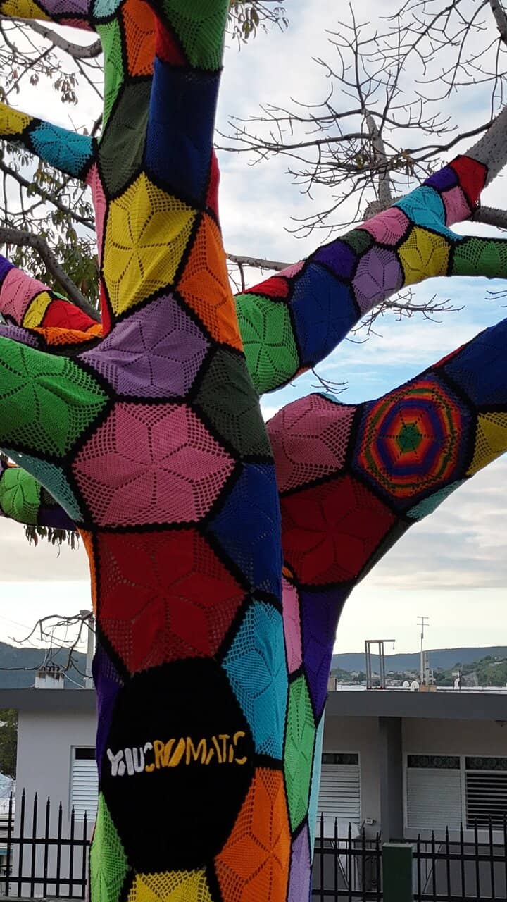 Yarn-Bombed Tree