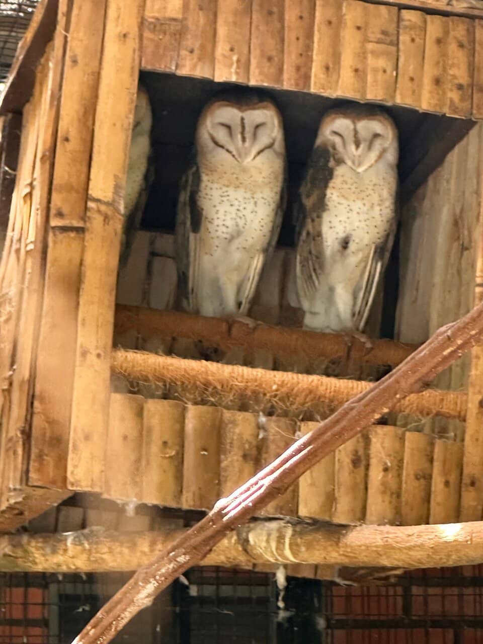 Educational Guided Walks