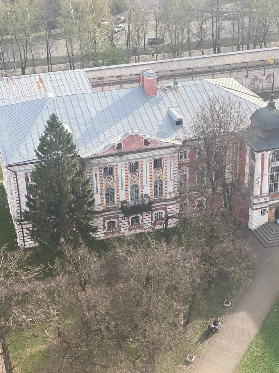 Natural History Displays