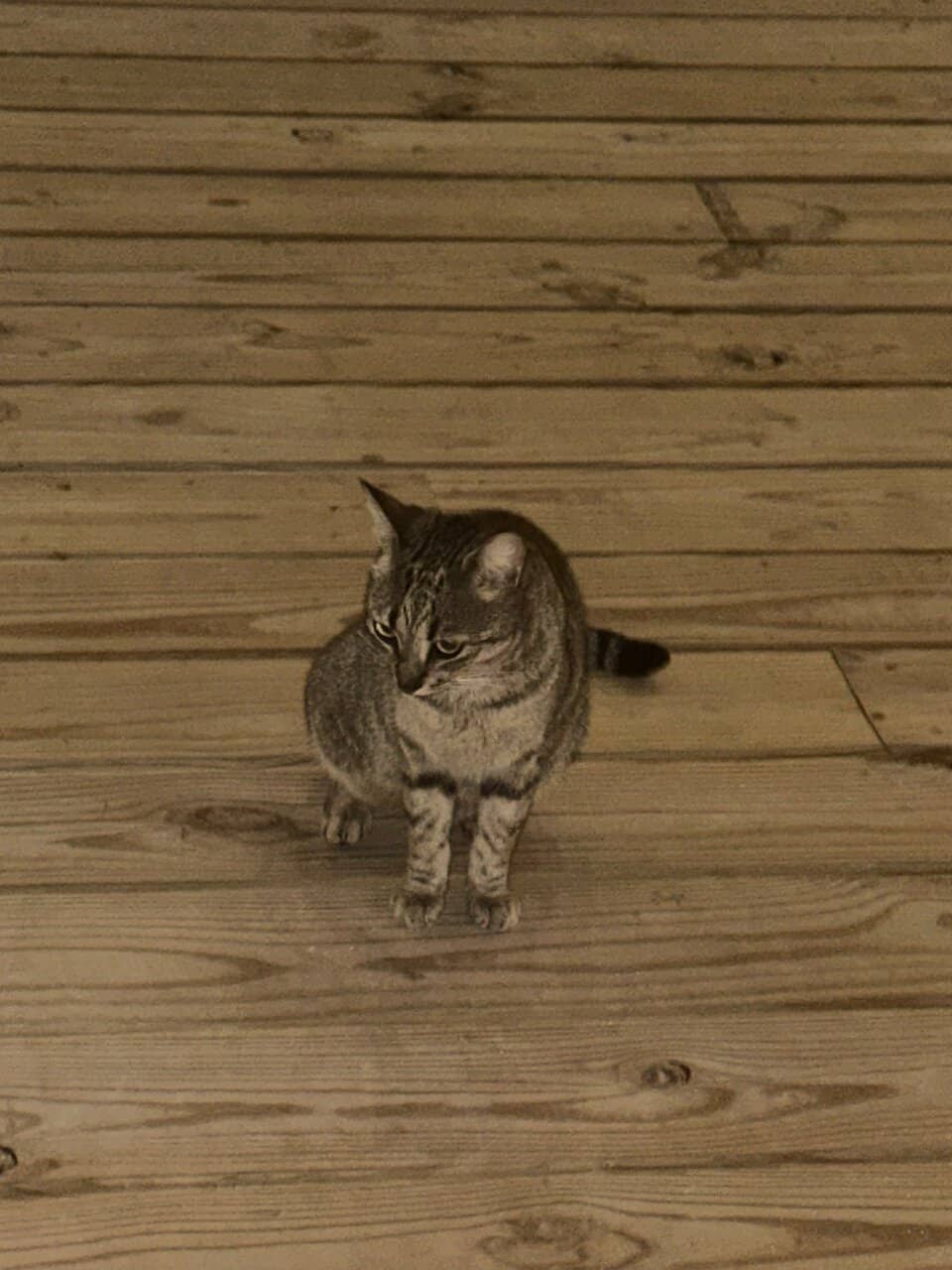 Fresh & Satisfying Breakfast