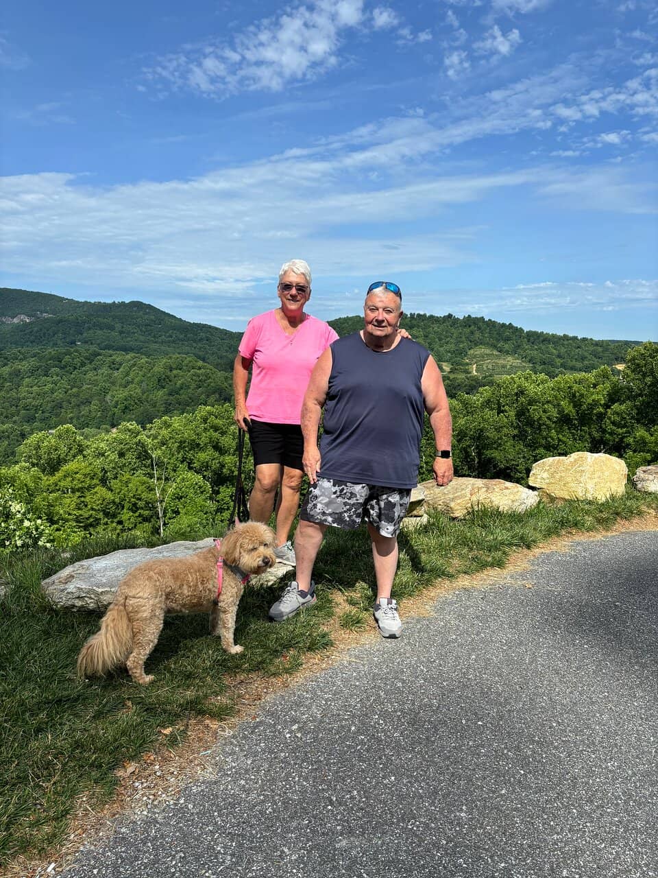 Pet-Friendly Atmosphere