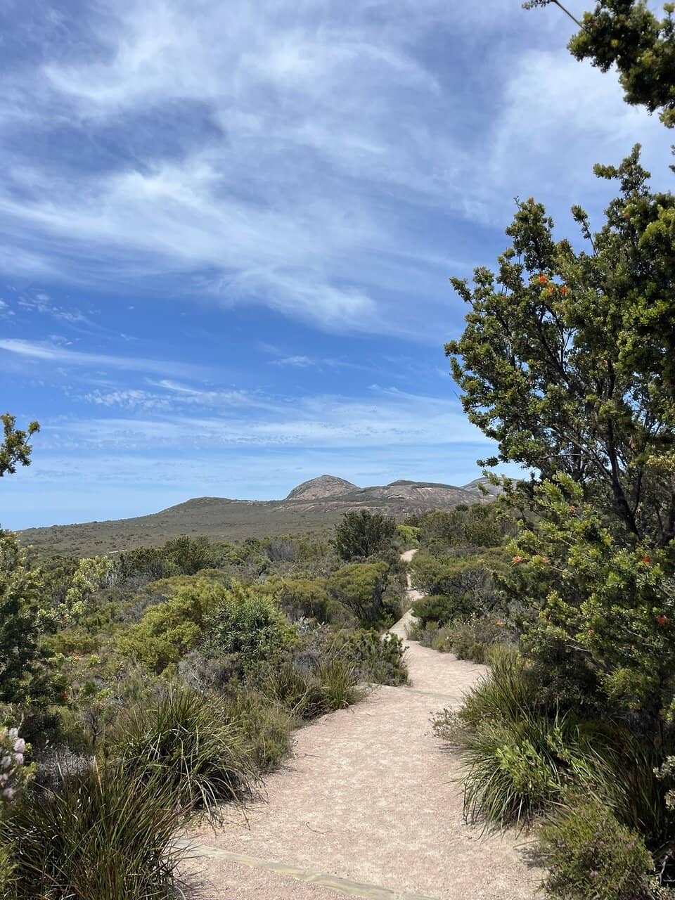 Panoramic Ocean Views
