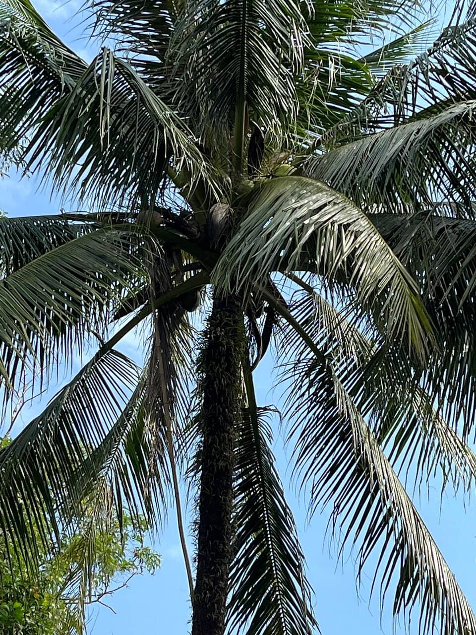 Traditional Fishing Villages