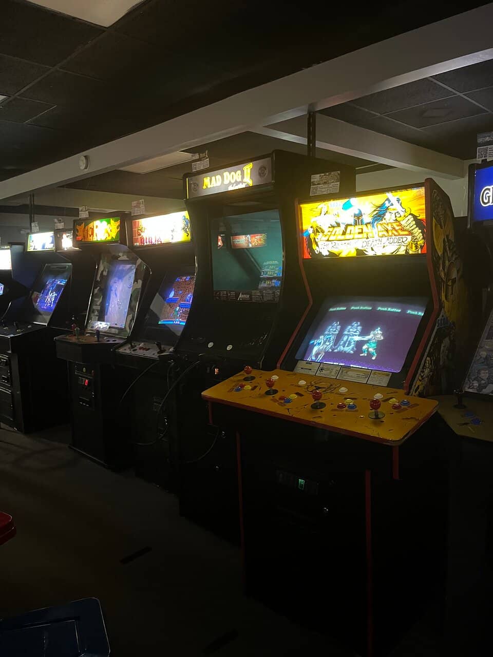 Rare and Unique Finds