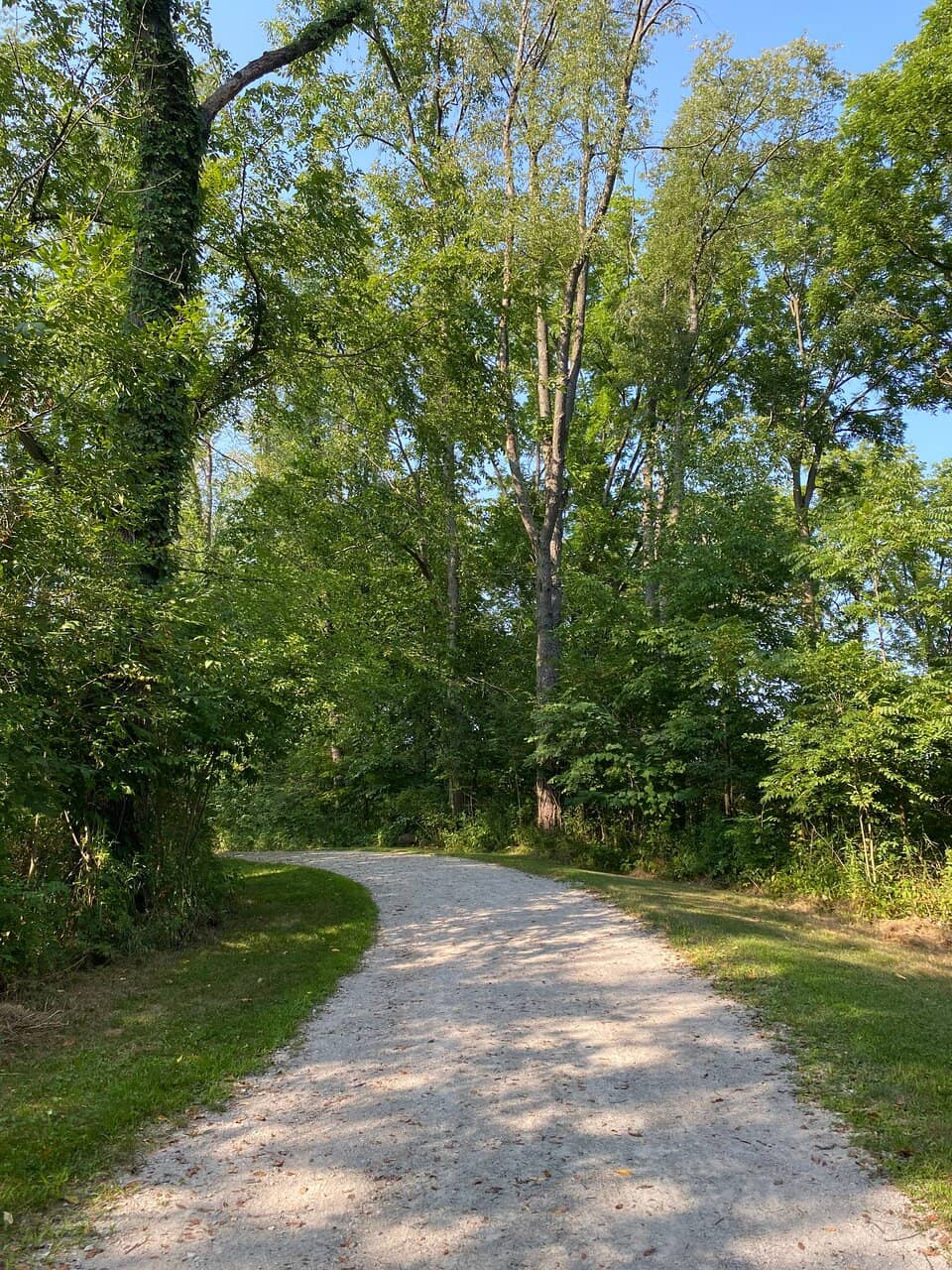 Playgrounds & Sports Fields