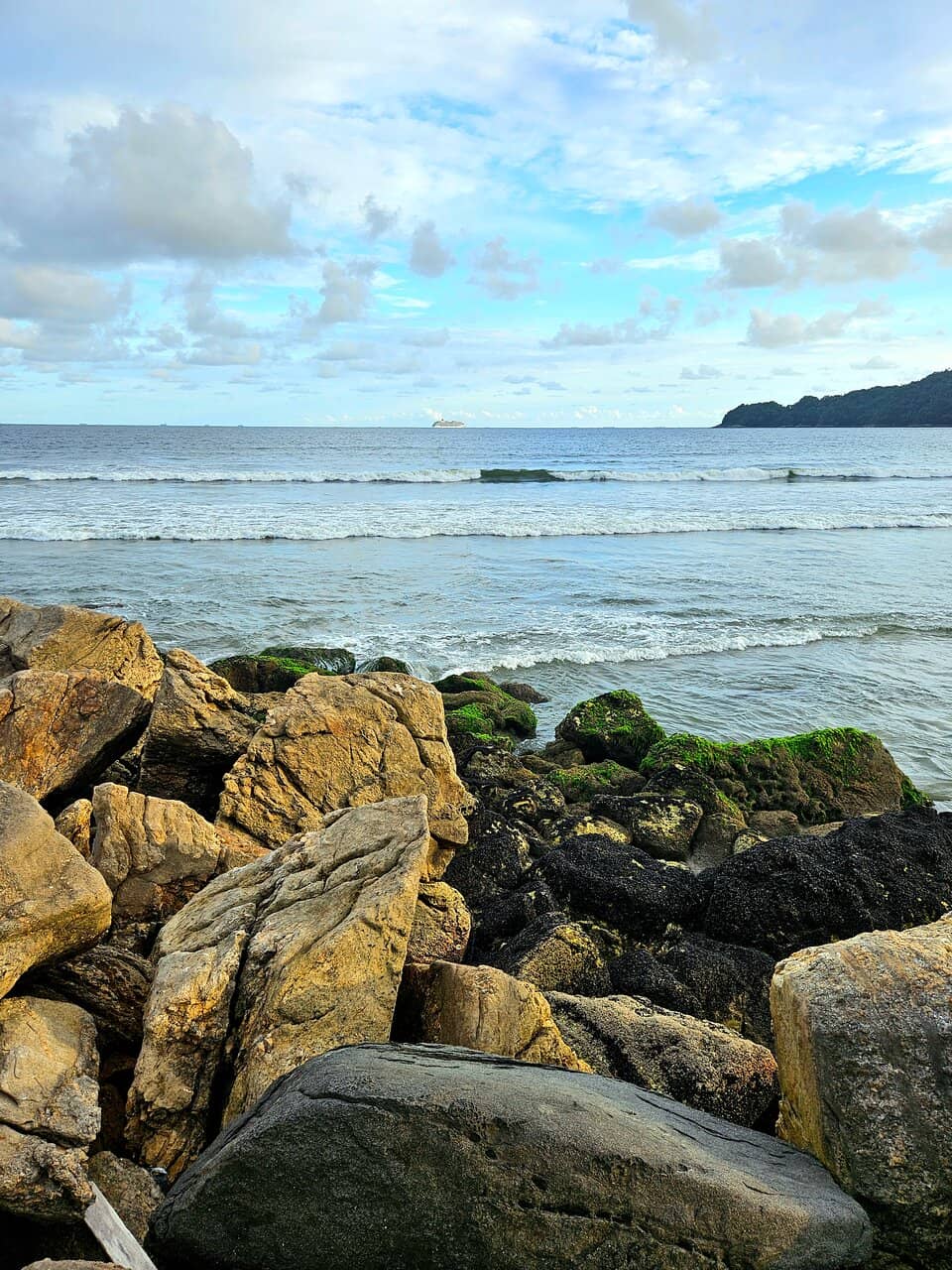 Atlantic Forest Scenery