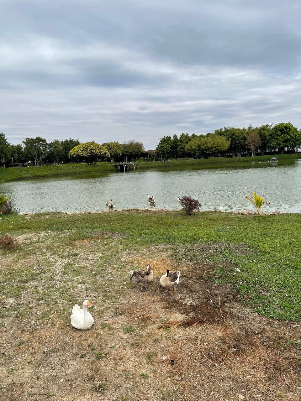 Authentic and Flavorful Thai Cuisine