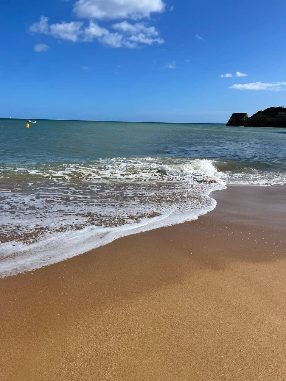 Morning Yoga Sessions