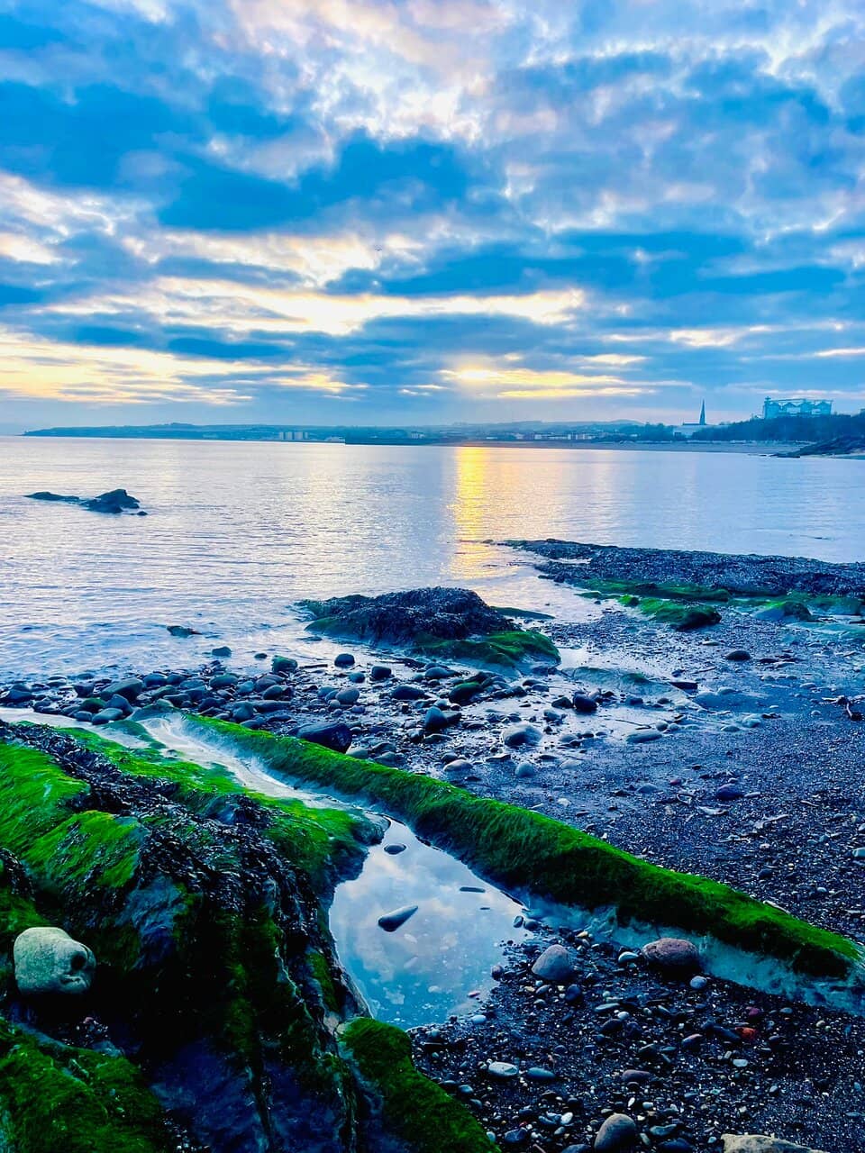 Dog-Friendly Walking