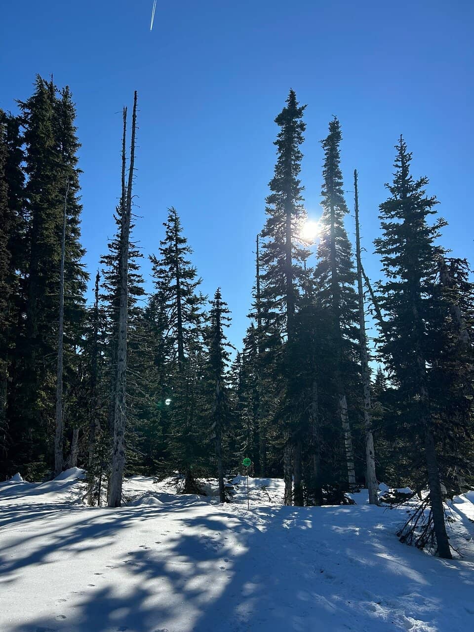 Beginner Progression Program