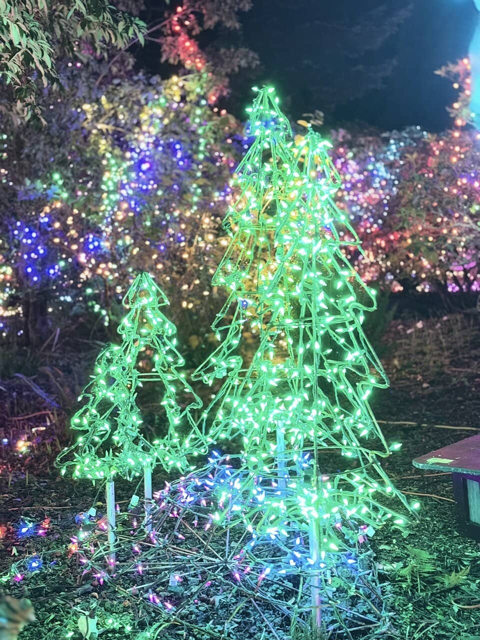 Holiday Light Show