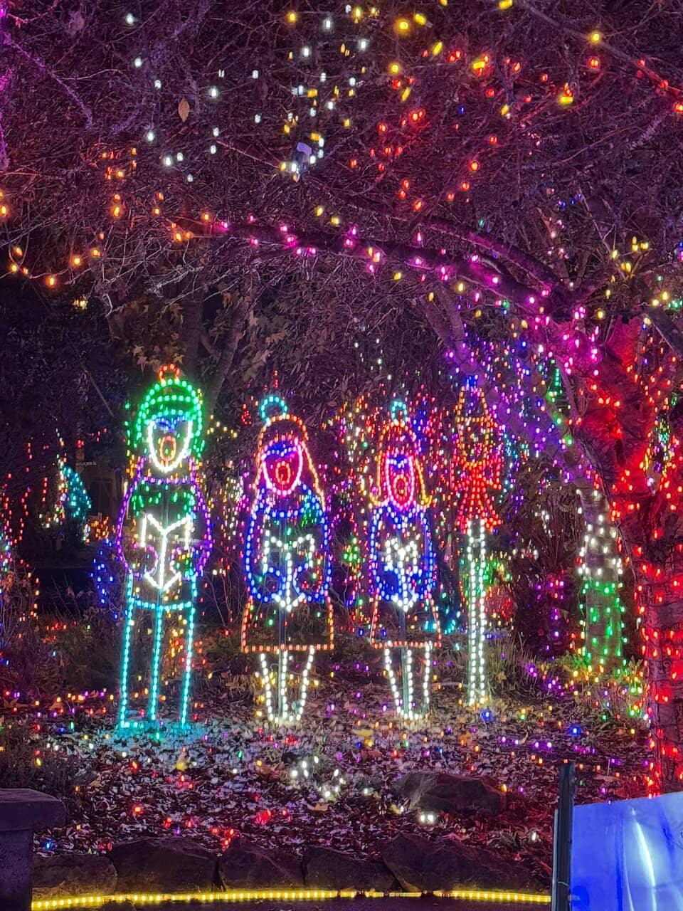 Expansive Playground